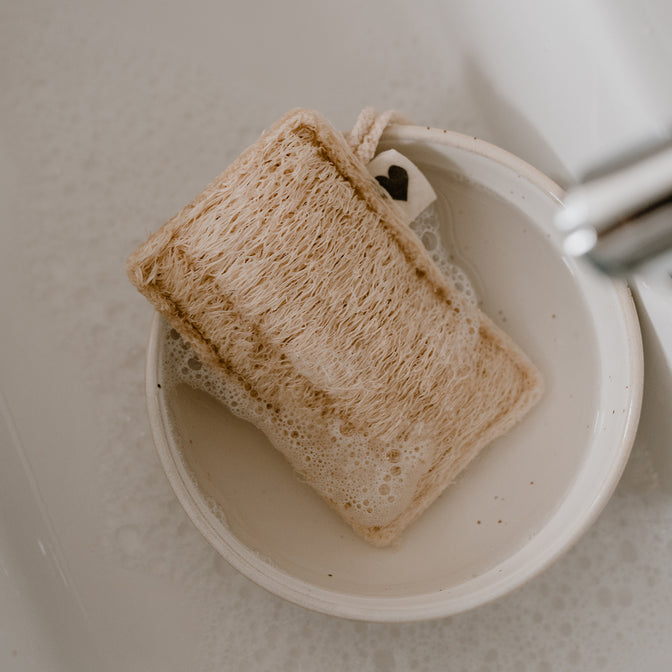 Luffa Schwamm in einer Schüssel mit Wasser liegend